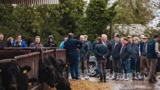 Foyle cattle finishing unit and research farm hosts open day