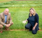 Ballyvoy and Dundrod – two new perennial ryegrass varieties from AFBI