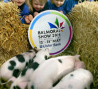 Four-day Balmoral Show on the cards from 2017