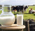 Date set for Dairy Ireland Annual Conference