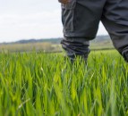 Green investment in farmland on the rise