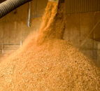 Mole Valley Farmers acquires ABN's feed mill in Devon