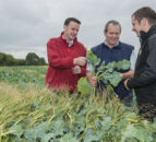 Tipperary co-op prepares for winter forage storage