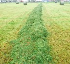 Members wanted for grassland management discussion groups