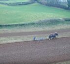 Video: Farmer ditches modern machinery in favour of horses