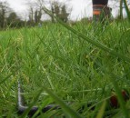 Video: How to carry out grass measuring on your farm