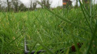 Grass measuring: Vital as growth returns