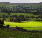 Countryside Alliance survey seeks to uncover 'true level' of rural crime