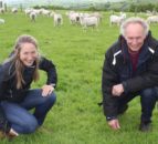 Performance recording is the ‘true basis’ of sheep selection