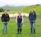 Genomics will ‘revolutionise’ performance in sheep sector