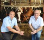 Tyrone dairy farmer displays ProCROSS breeding results