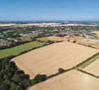 'Low supply and pent-up demand' sees farmland values rise 3% in 2020