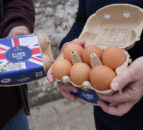Lidl GB offering financial incentives to farm eggs