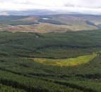 Significant timber forest with energy developing potential for sale on 5,342ac