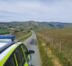 Pregnant cows die following dog chase in Wales