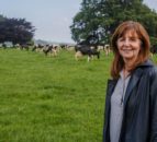 Wales: Progress on Sustainable Farming Scheme moves forward