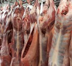 Sheep kill up 21% on March 2022 but pig kill down