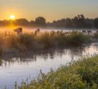 NZ farm orgs submit proposal on livestock access to waterbodies