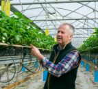 Calls for Scottish horticulture sector to review seasonal worker scheme