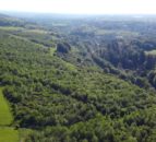 108ac woodland site for sale in west Scotland