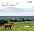 New liver fluke manual will help farmers control the disease - AHDB