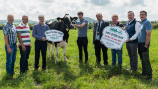 Ballyclider herd to feature in upcoming IHFA open day