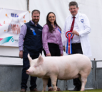 MSD Animal Health expands pig team