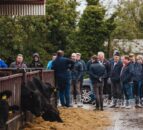 Foyle cattle finishing unit and research farm hosts open day