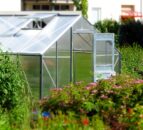 Tomtech supplies greenhouse motors for veterans to grow crops