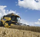 AHDB: Winter wheat harvest gathering pace