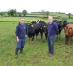 Maximising milk from grass in south Tyrone