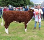 Opinion: NI agri show societies deliver in spades