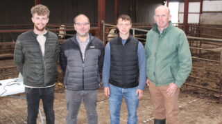 CAFRE dairy survey highlights the main reasons for culling cows