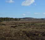 Defra: 12 peatland restoration projects to be funded by £16m