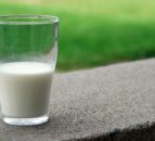 79% of adults think kids should have free or subsidised milk at schools - survey