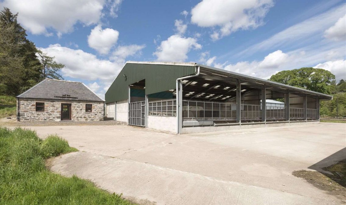 Grants to improve cattle buildings announced