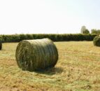 Opinion: Chequered flag dropped on 2023 silage season