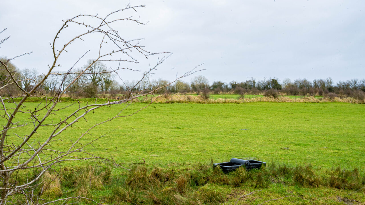 Rural Resilience Project to help NI farmers with climate change