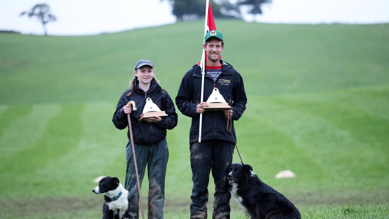 Norway native named ‘Top Dog’ at World Sheepdog Trials
