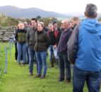 Ulster Grassland Society hosts Down farm walk