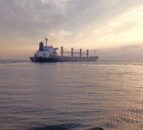 Further vessels to export Ukrainian grain via Black Sea