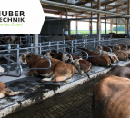 Cow mattress systems for maximum comfort and productivity